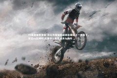 YY易游体育官网-芬兰与保加利亚将在赛场上一决高下，芬兰vs比利时,比赛中一名球迷冲入场内