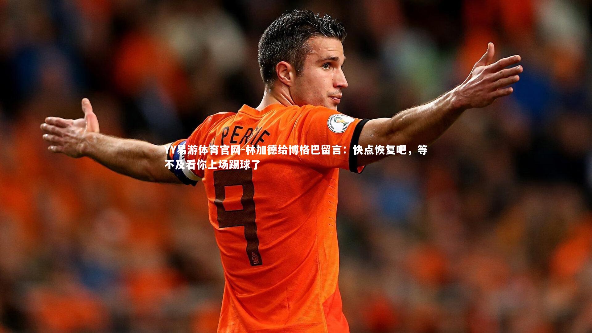 林加德给博格巴留言：快点恢复吧，等不及看你上场踢球了